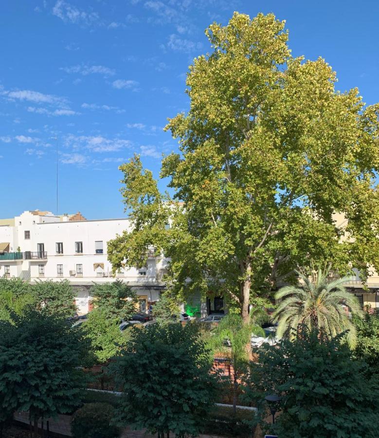 Acogedor Apartamento En Pleno Corazon De Triana Sevilla Eksteriør billede